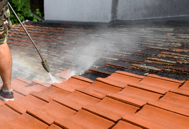Best Exterior Home Cleaning  in Pumpkin Center, NC