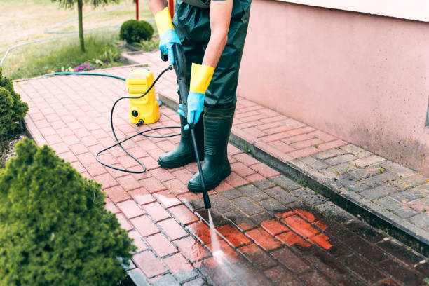 Best Roof Power Washing Services  in Pumpkin Center, NC