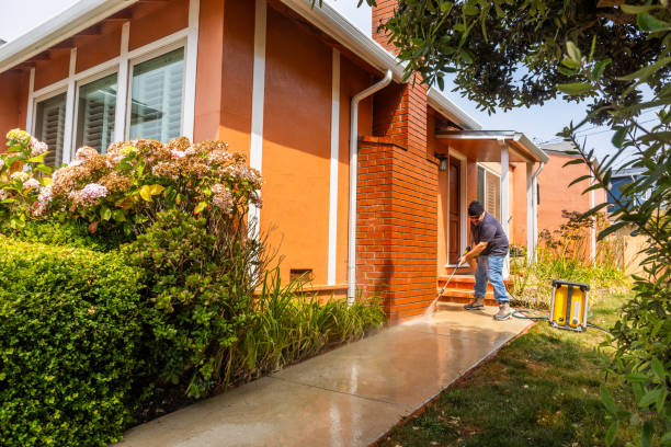 Best Pressure Washing Services for Businesses  in Pumpkin Center, NC