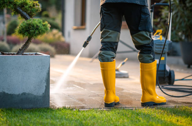 Best Best Pressure Washing Companies  in Pumpkin Center, NC